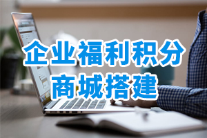 企業(yè)福利積分商城搭建